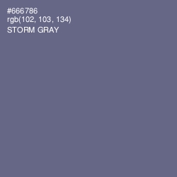 #666786 - Storm Gray Color Image